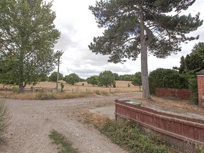 Picture 16